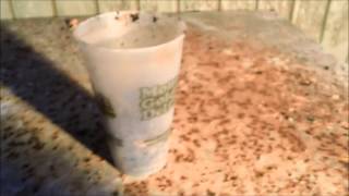 Converted Deep Freezer Into A Huge Worm Bin