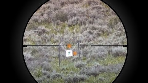 SIERRA6BDX Riflescope