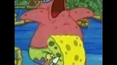 Shitpost Status Compilation