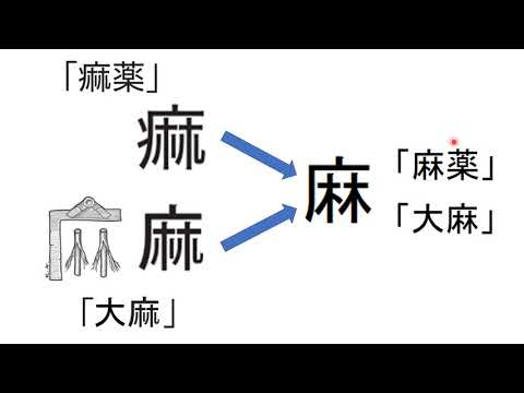 薬の名前にまつわるエトセトラ-011- ＜「麻薬」の意味を考える＞