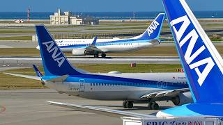 Morning Traffic at Naha Airport | Terminal Spotting Views!