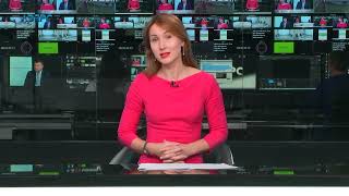 Ситуація у лісовій галузі України: чи варто чекати змін? видео коли українцям варто чекати