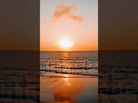 عمرو دياب موسيقى اي حاجه تيجي من ريحه الحبايب