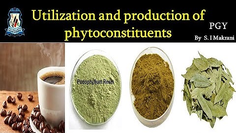 Utilization and production of phytoconstituents |Pharmacognosy – VI |Final Year |B. Pharm