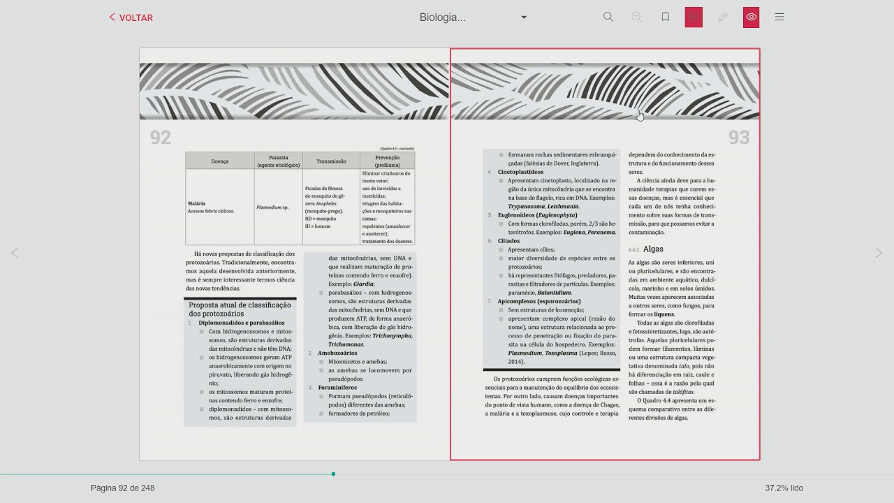 Carta De Apresentação Formador Exemplo