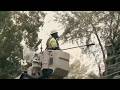 Georgia Power, tree crews prepare for widespread outages from Isaias
