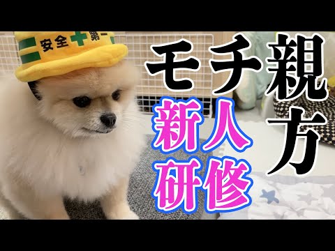 motchannel - YouTube
