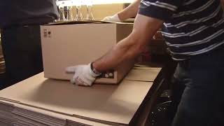 Luminarc Opal Dinnerware