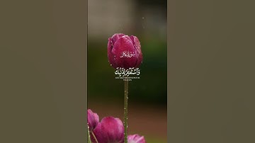 آيات من القرآن الكريم بصوت خاشع وجميل مريح للقلب#القرآن_الكريم #يوم_الجمعة #عبدالباسط_عبدالصمد