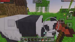 Messing around in Minecraft 