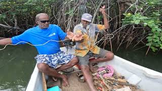 fiji fishing part 4