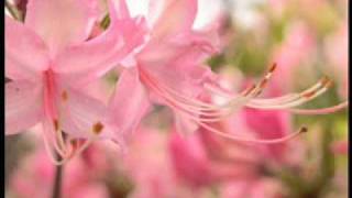 Shoam & Gavriel - Party People Original Mix