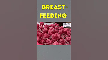 Breast Feeding 3d Animation 