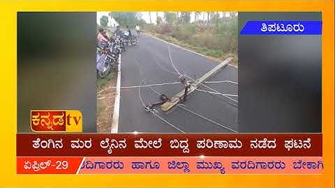 ಮಳೆ ಗಾಳಿ ರಭಸಕ್ಕೆ ಉರಿಳಿ ಬಿದ್ದ 4 ವಿದ್ಯುತ್ ಕಂಬಗಳು