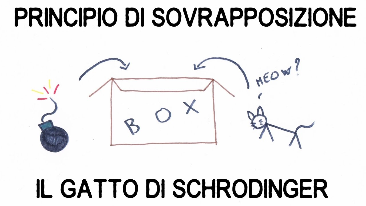 Principio di Sovrapposizione: Il Gatto di Schrodinger - YouTube