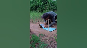 New Idea Creative Underground Quail Bird Trapping Technique Using Deep Hole #shorts #birdtrap #trap