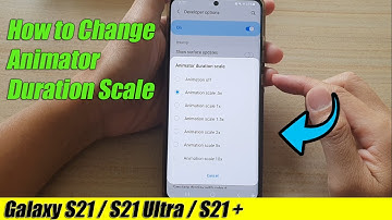 Galaxy S21/Ultra/Plus: How to Change Animator Duration Scale