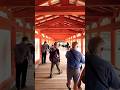 壹:日本廣島行. 王子飯店 嚴島神社 炸蛤蠣 野生鹿 鳥居 溫泉旅館 會席料理. #廣島 #鳥居 #神社