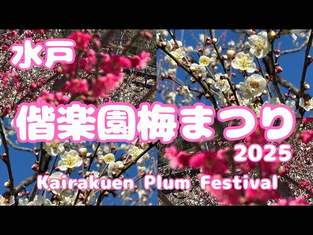 偕楽園梅まつり】梅の花10品種ご紹介～水戸の春は梅の花から～ - YouTube