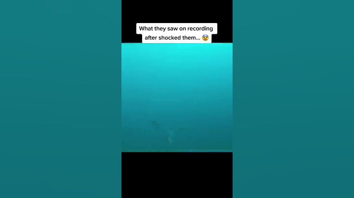 Real Proof That Mermaids Actually Exist… 🧜‍♀️😳 #shorts