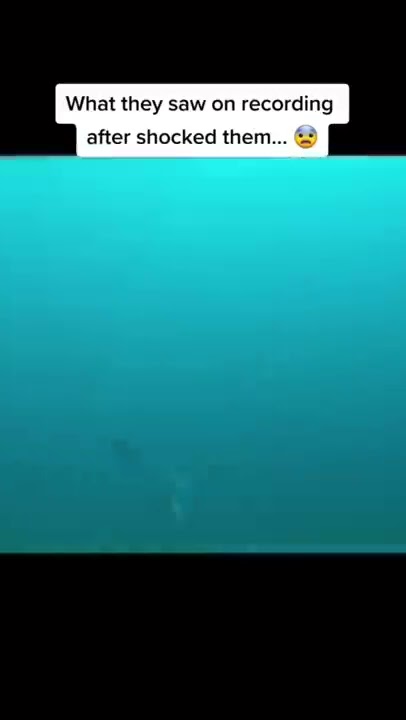 Real Proof That Mermaids Actually Exist… 🧜‍♀️😳 #shorts