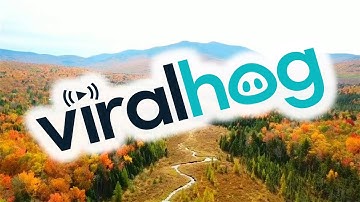 Drone Captures The Beauty Of The Leaves Changing Colors For Fall || ViralHog