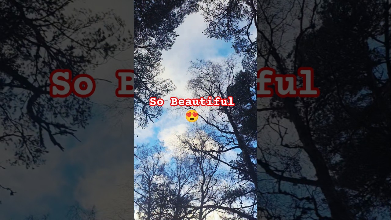 Breathtaking scenery 😍 ✨️ 