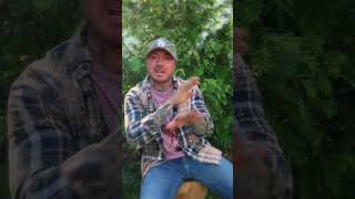 “Use Me” is going viral 🤯 Dropping 10/28.