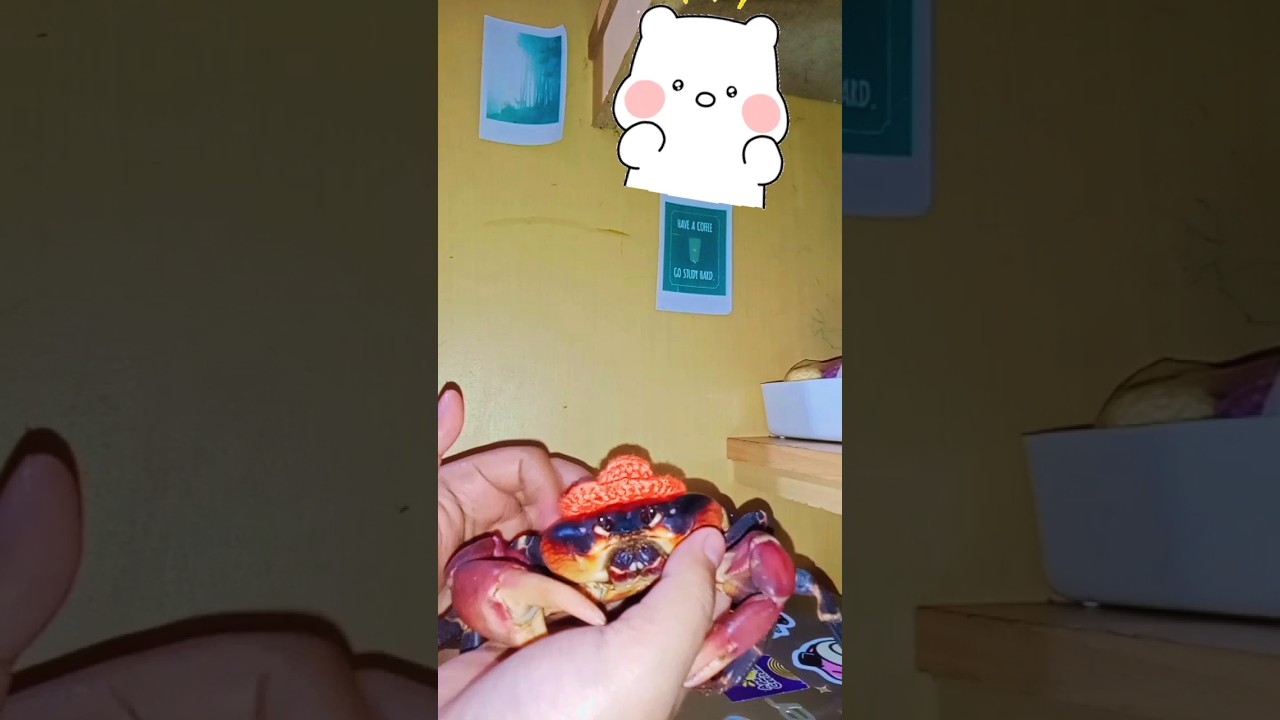 umpalumpa wearing cute beanie hat