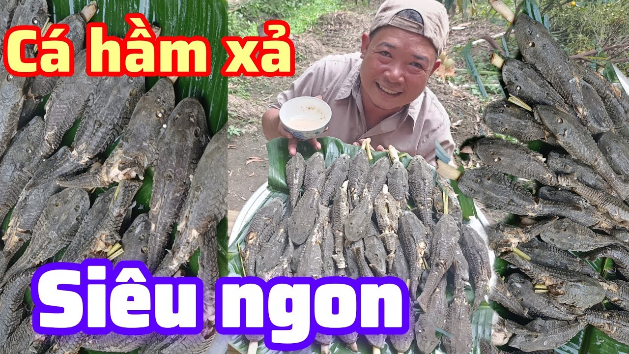Cá lao kiếng hầm xả và nước chấm siêu ngon , Bột kít kít tv family 