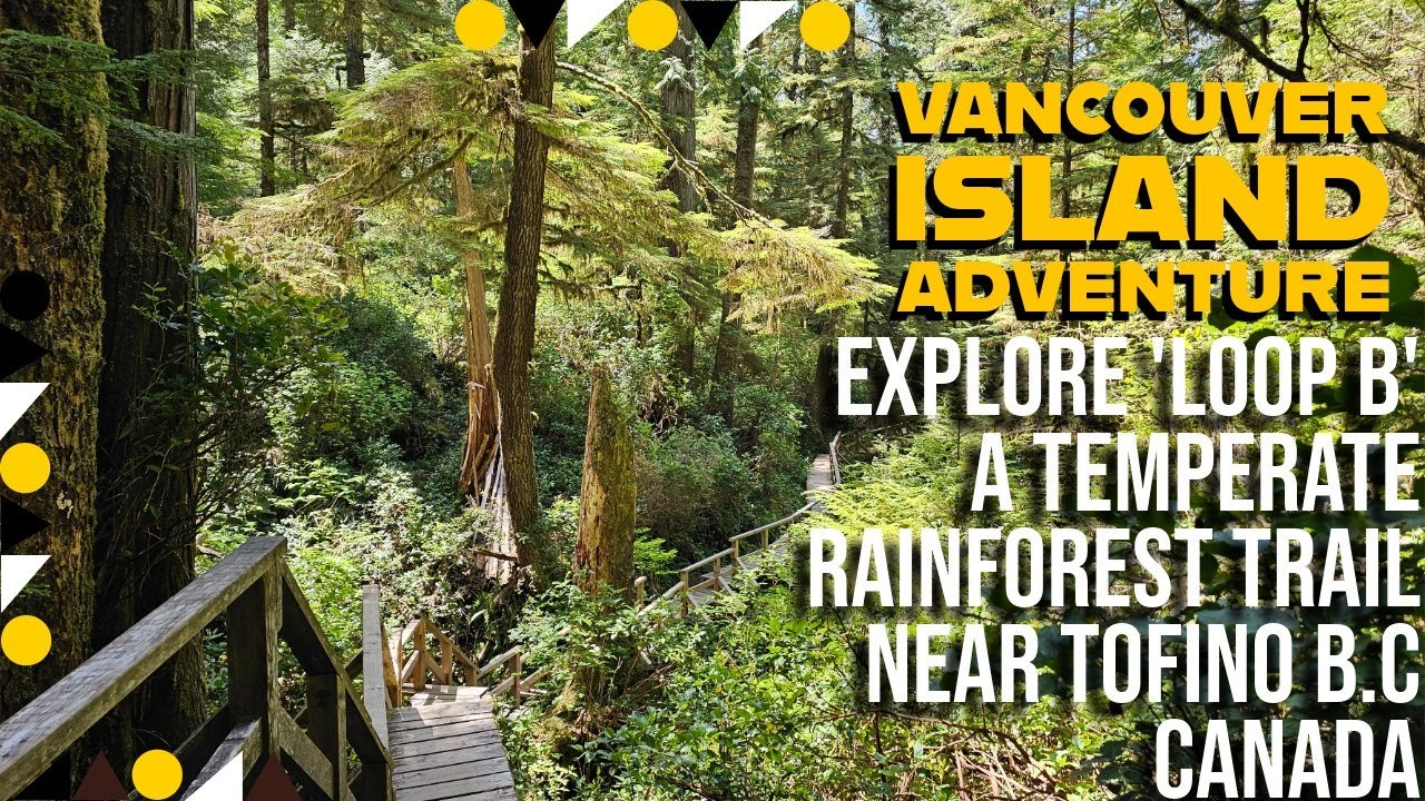 🍁Vancouver Island🍁Must-Do! Explore an Enchanting Temperate Rainforest Trail near Tofino BC Canada!