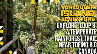 🍁Vancouver Island🍁Must-Do! Explore an Enchanting Temperate Rainforest Trail near Tofino BC Canada!