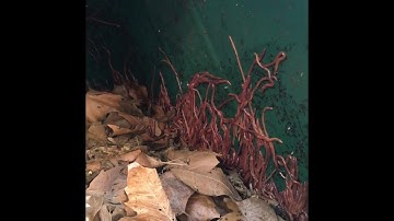 120 degrees and the worms are still here!