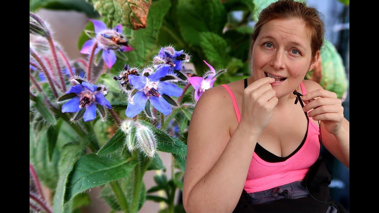 Shocking Garden Flower Taste Test