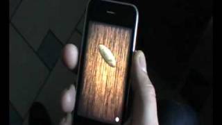 iPhone coin tossing simulator. screenshot 5