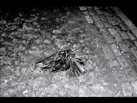 Sleduj [the] slowest runner [in all the world] - "aembers / guggenheim" (dir. by Hannah Hisako Marcus) na YouTube