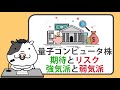 量子コンピュータ銘柄の期待とリスク。強気派と弱気派の見解【2024/11/29】