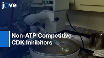 Development-Inhibitors Of Protein-Protein Interactions Through REPLACE l Protocol Preview