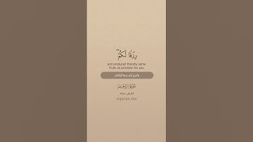 سورة إبراهيم [ 31 : 33 ] ~ الشيخ فارس عباد