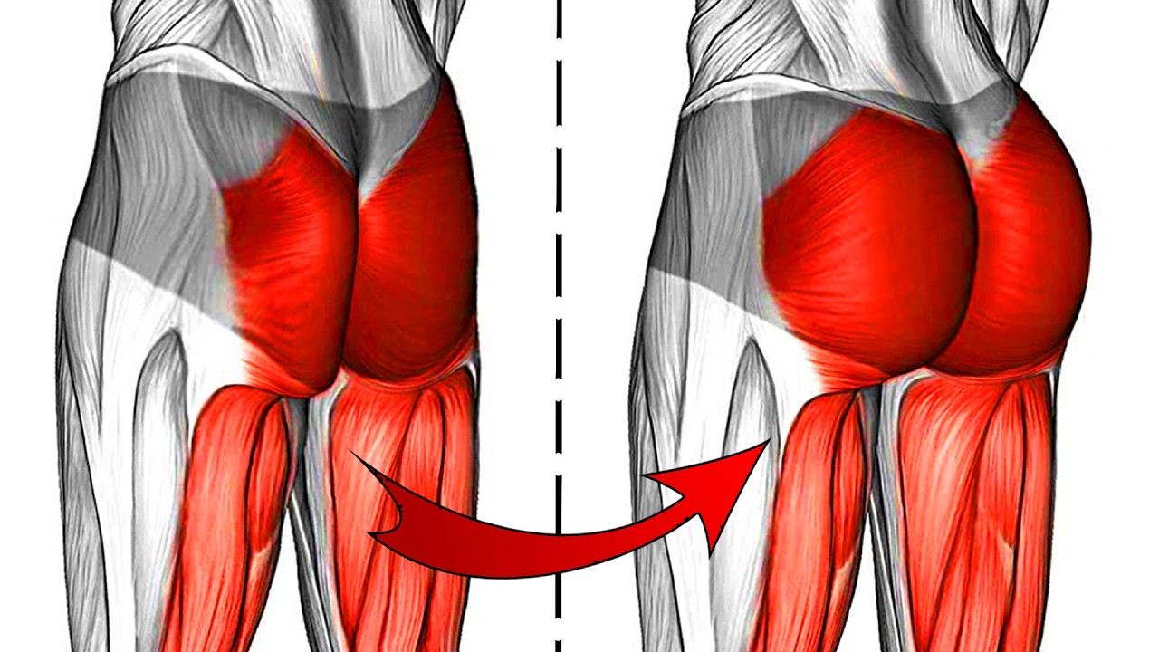 15 лучших упражнений для ягодичных мышц в домашних условиях [без оборудования]💪