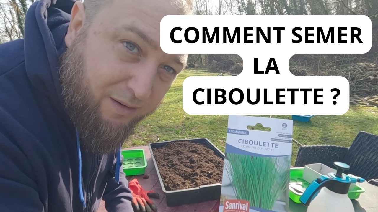 Comment Faire un Semis de Ciboulette ?