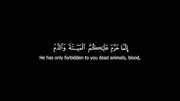 سورة البقرة- Al Baqarah- 172 to 173-