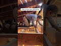 #how #to #sidestep #attic #joists #with #TKC #Extreme #crawler #enjoy #the #views #stay #safe
