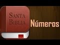 La biblia hablada en español, COMPLETA - Libro de Números - Experiencia Pentecostal