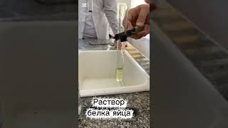 Биуретовая реакция на белки #chemistry #protein #reaction #биохимия  #химия #химик #реакция