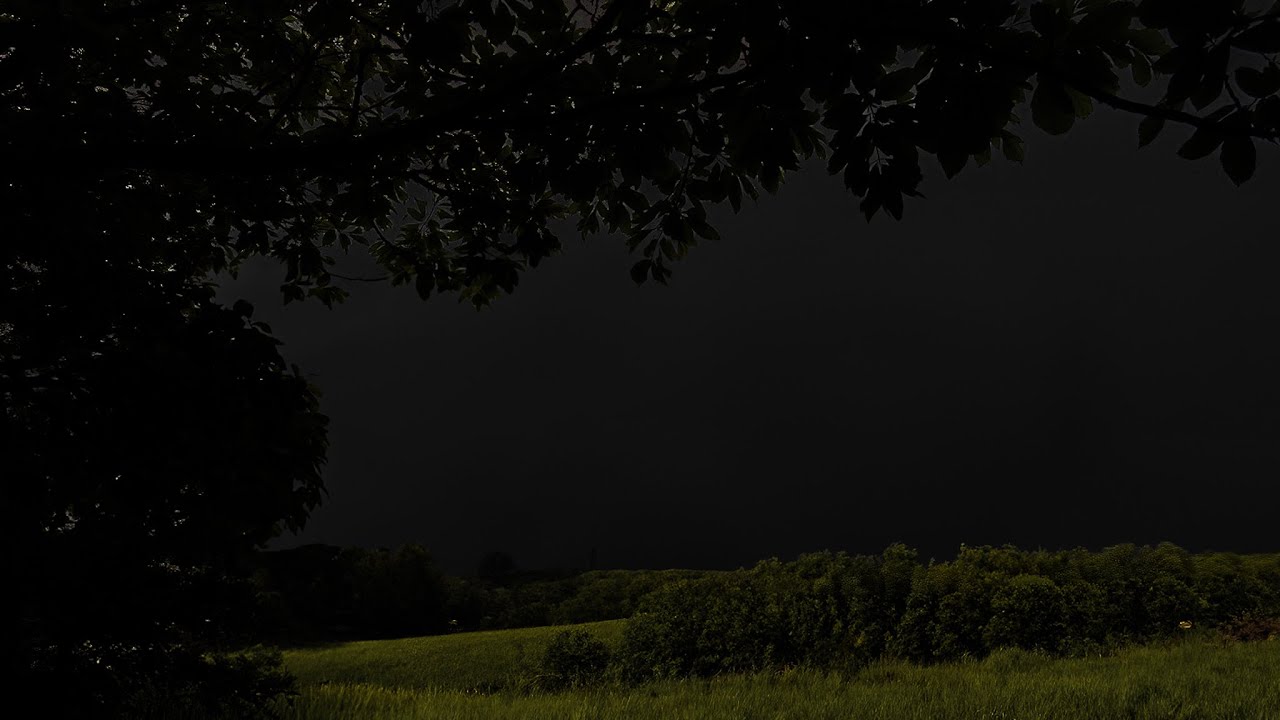 Grassland Thunderstorm | Under the Tree | Calm Before the Storm | 3 HOURS