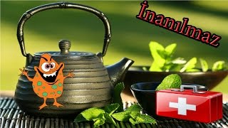 Yeşil Çay In 10 Faydası