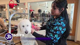 Yadira - Engelstad Grooming Academy Graduate
