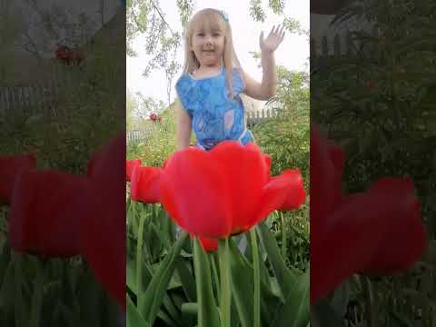 квіточка маленька дівчинка гарненька моє миле сонечко моя рідна донечка квітка дівчинка діти 