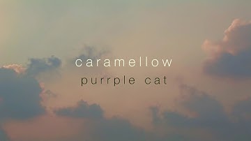 Thumbnail of Caramellow - Purrple Cat · [free copyright-safe music]